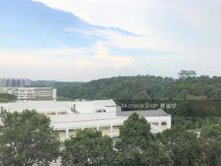 Blk 248 Bangkit Road (Bukit Panjang), HDB 5 Rooms #155383902